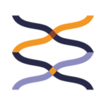 אייקון-זהות-היא-ידע